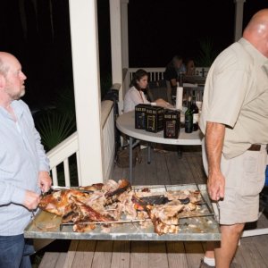 Remains of the pig are placed in the building for preservation...from the coons.