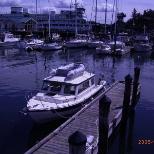 (Fishtales) CD25 seen at Friday Harbor