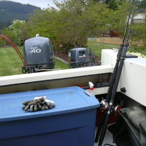 Ready for halibut fishing in the morning