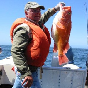 Big Boy Yelloweye