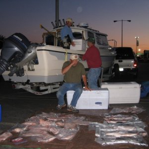 dividing the catch