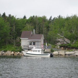IMG 0957