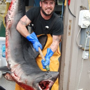 Captn Josh bags a shark