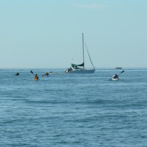 DSCN0546