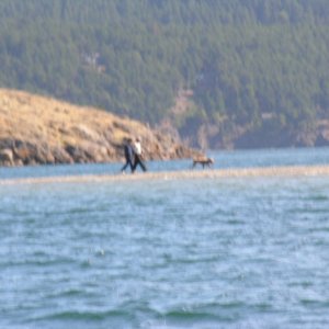 Walking on water. Spencer Spit