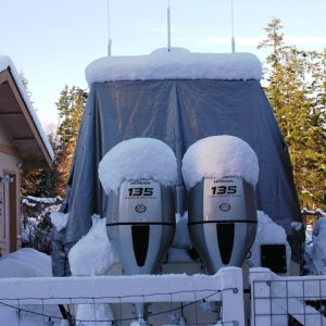 HondaPopsicles