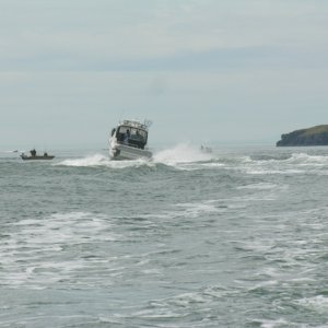 Things you see when you don't............
Deception Pass May 16th. 3.22pm
