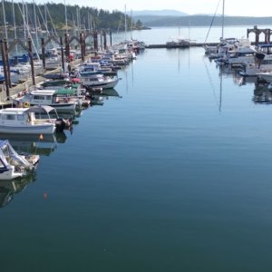 Media 'FriHar019' in album 'Friday Harbor H dock'
