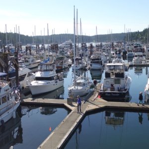 Media 'FriHar021' in album 'Friday Harbor H dock'