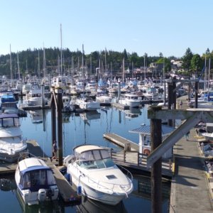 Media 'FriHar022' in album 'Friday Harbor H dock'