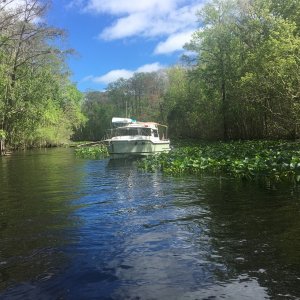 Mystery Girl in the Oklawaha River