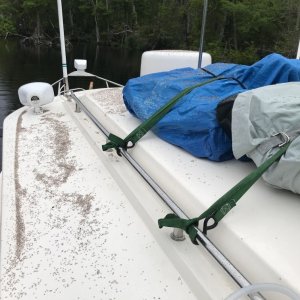 Active Captain report about bugs wasn\'t kidding!