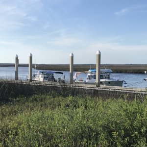 Jacksonville Free Dock