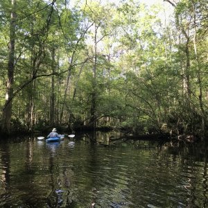 Bill Kayaking on 6 Mile Creek