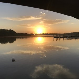 Salt Springs Sunrise