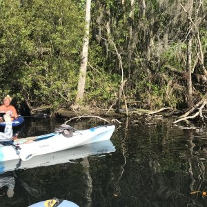 Bill and Rosanne checking out another alligator