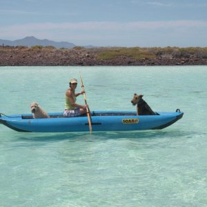Kayaking Coronodas Isla Bay 1