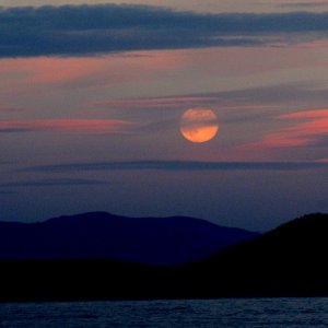 Media 'Moon Rise Over Lummi Island from Matia Cover' in album 'BC Ferry from Newcastle Island 5 a.m.'