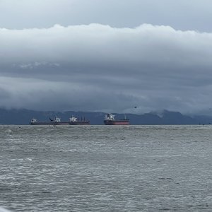 Ships anchored in the bay by Astoria