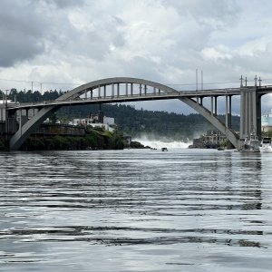 My first view of the Willamette Falls