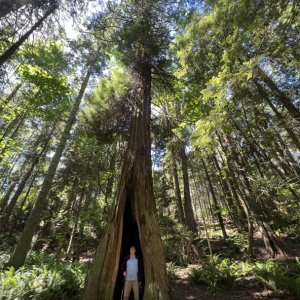Colby standing inside a tree at Matia Island