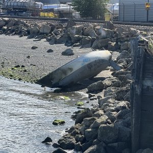 Fairhaven Harbor Sailboat wreck