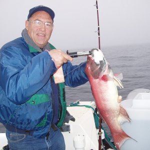 Joel's Sheepshead