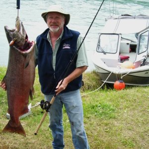50# Kenai King Salmon