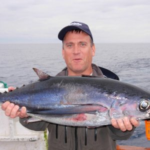 Albacore Tuna