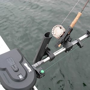 fly rod 8wt