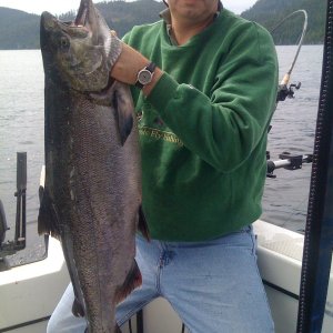 26 pound Spring our largest fish of Barkley 2008