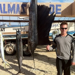Dorado, wahoo, sail fish Cabo 2010