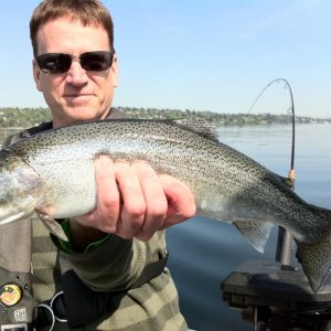 a nice cutthroat specimen