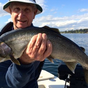 Lake Washington cutthroat trout