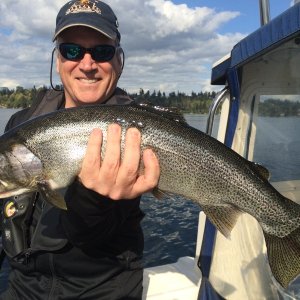 Lake Washington cutthroat trout
