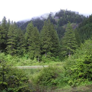 Middle Larson Lake - Augspurger Mountain in the background