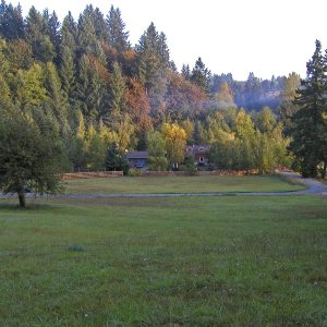 Our 80+ yr old farm house early morning.