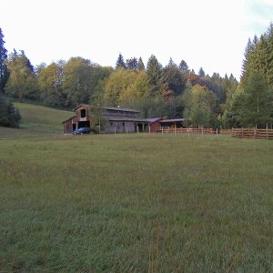 Our 45+ yr old barn