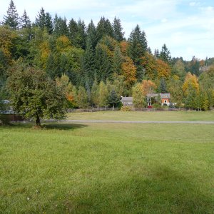 fall-colors