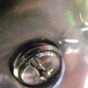 Media 'SUZ DF50 Lower Unit Drain Plug Gasket Extrusion' in album 'Schooner EXACT'