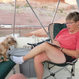 Rusty and Dixie check the ipad