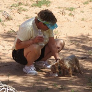 Hot hiking in the desert