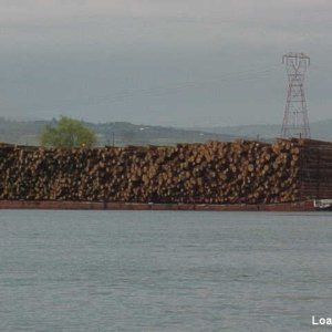 Media '48 Load of logs' in album '1 Snake above Granite Dam'