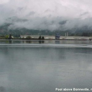 54 Pool above Bonneville