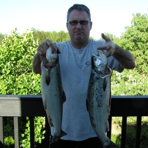 Coho