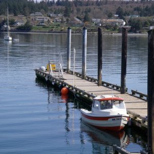 Coupville Dock.
