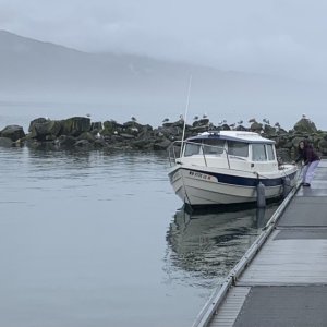 Netarts bay