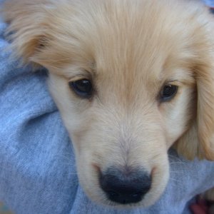 Murphy, up close and personal.