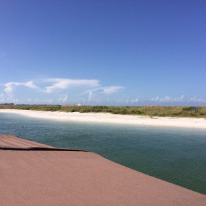 Kewadyn, part of the Rookery Bay Preserve