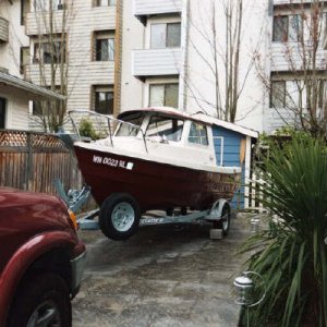 Media 'bow.jpg' in album 'bow.jpg'